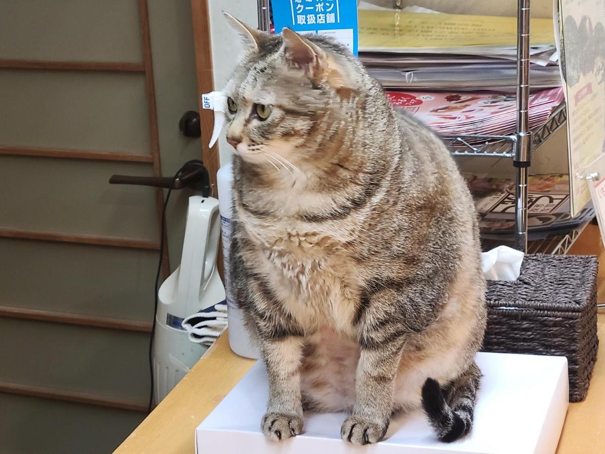 那须盐原市 赤沢温泉日式旅馆酒店 外观 照片