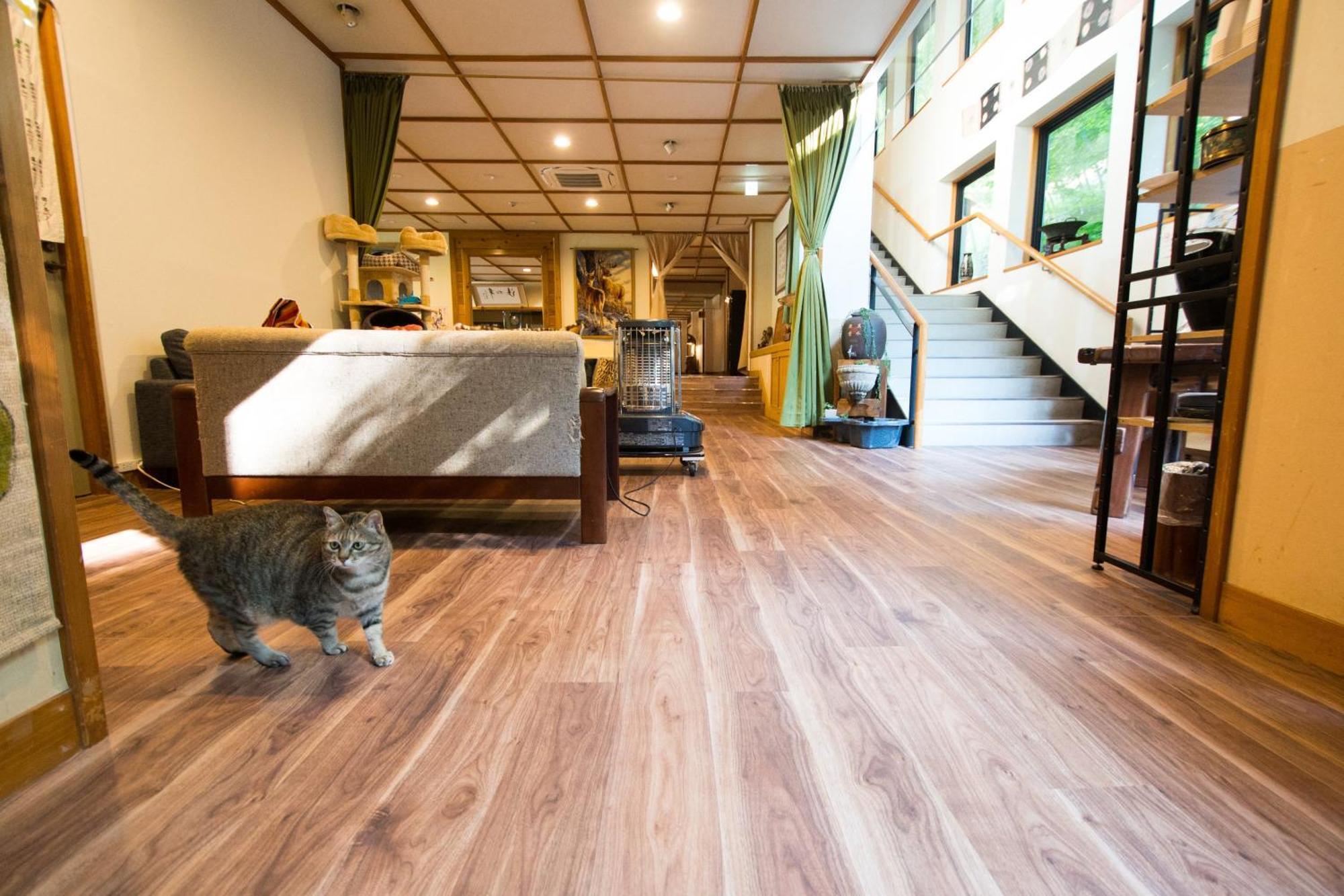 那须盐原市 赤沢温泉日式旅馆酒店 外观 照片